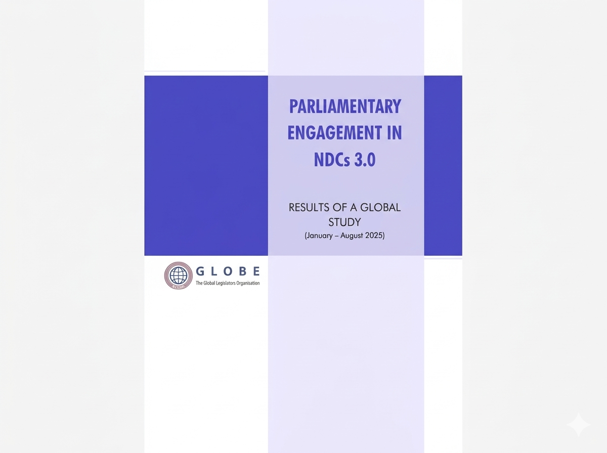 Parliamentary engagement in NCG