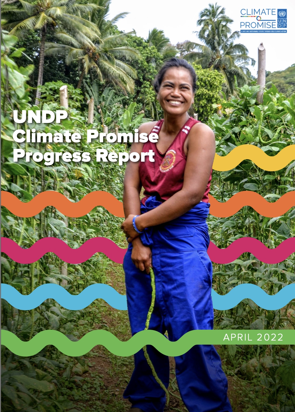 UNDP Climate Promise Progress Report