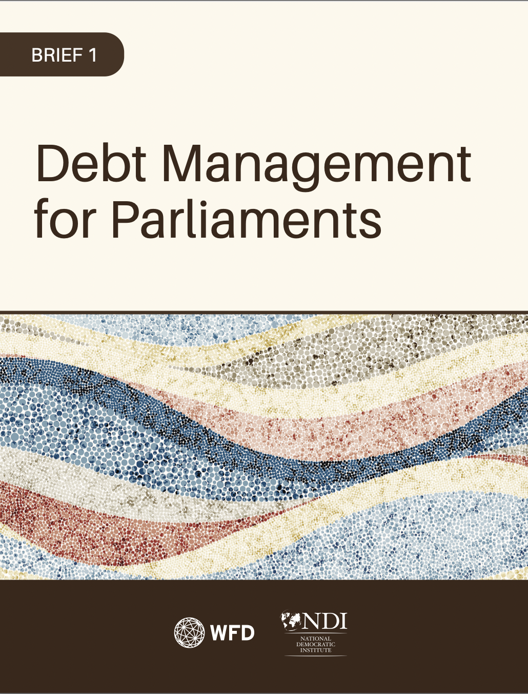 Policy briefs on parliamentary public debt management