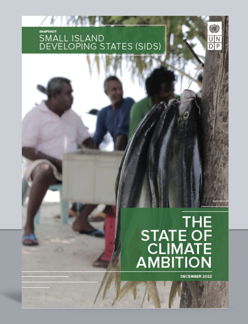 The State of Climate Ambition: Snapshots for Least Developed Countries (LDCs) and Small Island Developing States (SIDS)