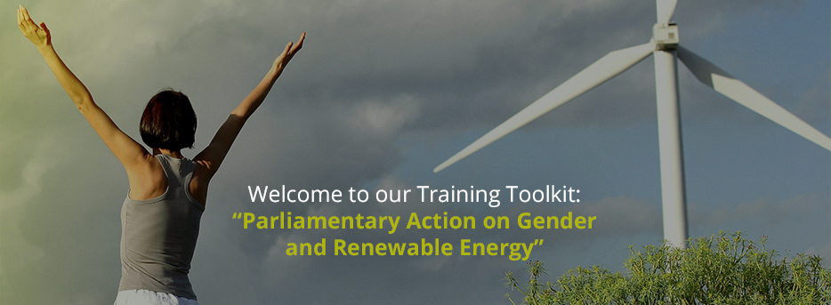 This toolkit has been developed to facilitate trainings on gender-responsive energy laws, policies and budgets for parliamentarians. It offers comprehensive introductions to the core issues and provides exercises, model parliamentary questions, suggested parliamentary action points and a list of relevant resources.