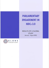 Parliamentary engagement in NCG