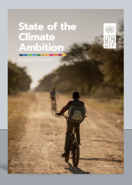 The State of Climate Ambition