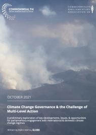 Climate Change Governance & the Challenge of Multi-Level Action