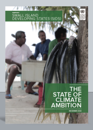 The State of Climate Ambition: Snapshots for Least Developed Countries (LDCs) and Small Island Developing States (SIDS)