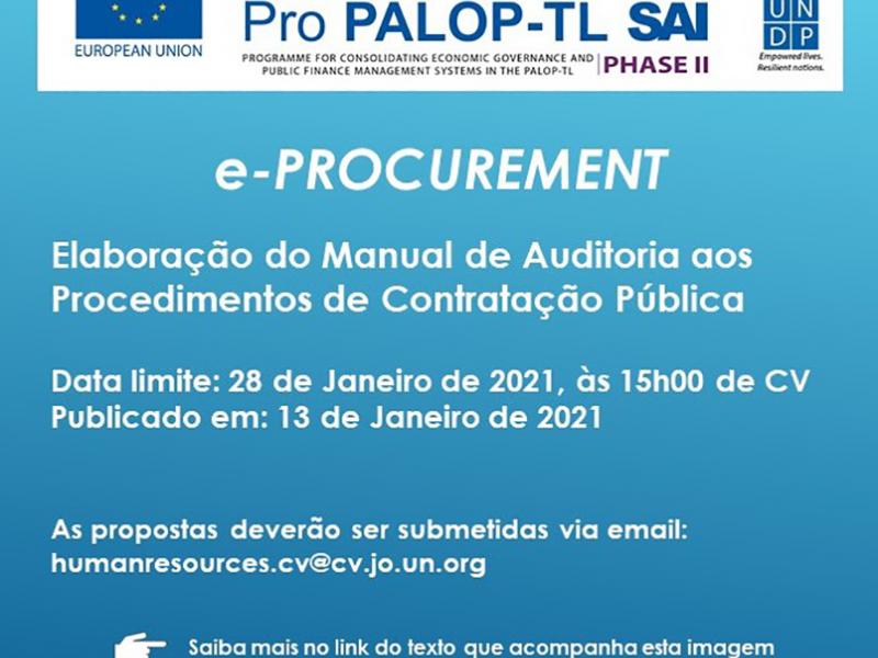 Consultoria Nacional - Elaboração do Manual de Auditoria aos Procedimentos de Contratação Pública